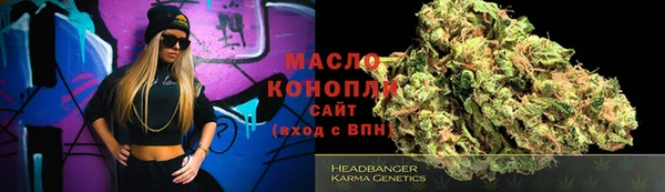 молекула духа Арсеньев