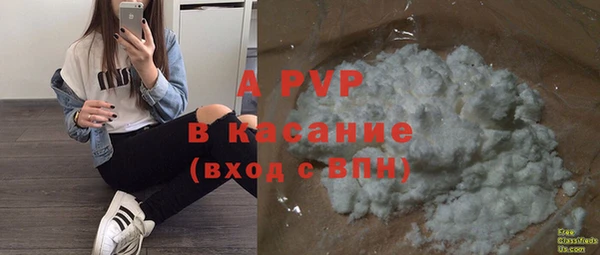 молекула духа Арсеньев