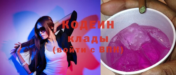 молекула духа Арсеньев
