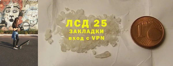 ПСИЛОЦИБИНОВЫЕ ГРИБЫ Аркадак