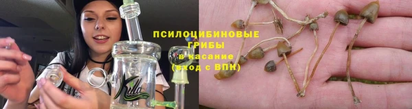 ПСИЛОЦИБИНОВЫЕ ГРИБЫ Аркадак