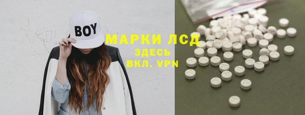 молекула духа Арсеньев