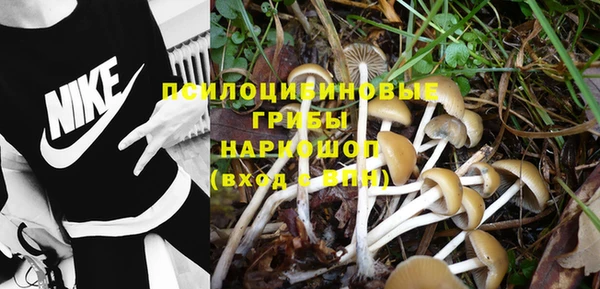 герыч Инта
