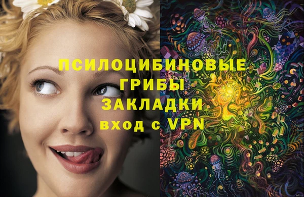 ПСИЛОЦИБИНОВЫЕ ГРИБЫ Аркадак